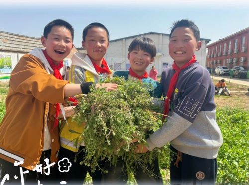 藩鎮中旬小學.jpg